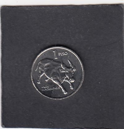 Beschrijving: 1 Piso  COW